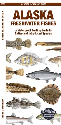 Abbildung von: Alaska Freshwater Fishes - Waterford Press Ltd