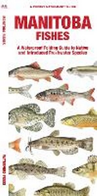 Enlarge image Cover: Manitoba Fishes - Waterford Press Ltd