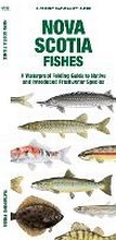 Cover: Nova Scotia Fishes - Waterford Press Ltd