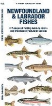 Cover: Newfoundland & Labrador Fishes - Waterford Press Ltd