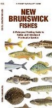 Cover: New Brunswick Fishes - Waterford Press Ltd