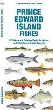 Cover: Prince Edward Island Fishes - Waterford Press Ltd