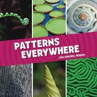Enlarge image Cover: Patterns Everywhere - Lerner Publishing Group