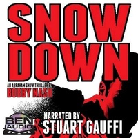 Enlarge image Cover: Snow Down - Spoken Realms