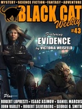 Cover: Black Cat Weekly #43 - Wildside Press