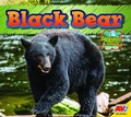 Cover: Black Bear - Av2