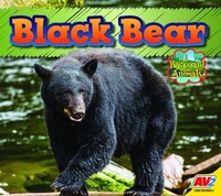 Enlarge image Cover: Black Bear - Av2