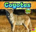 Cover: Coyote - Av2