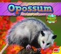 Cover: Opossum - Av2