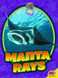 Cover: Manta Rays - Av2