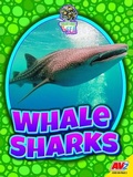 Cover: Whale Sharks - Av2
