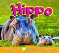 Cover: Hippo - Av2
