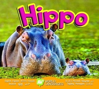 Enlarge image Cover: Hippo - Av2