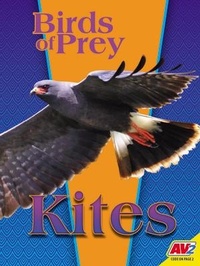 Enlarge image Cover: Kites - Av2