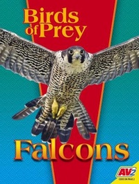Enlarge image Cover: Falcons - Av2