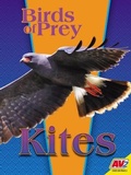 Cover: Kites - Av2
