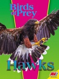 Cover: Hawks - Av2