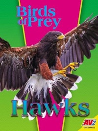 Enlarge image Cover: Hawks - Av2