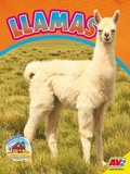 Cover: Llamas - Av2