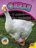 Cover: Geese - Av2