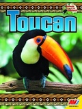 Cover: Toucan - Av2