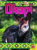 Cover: Okapi - Av2