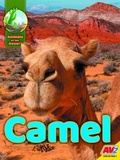 Cover: Camel - Av2
