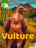 Cover: Vulture - Av2