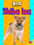 Cover: Shiba Inu - Av2