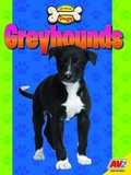 Cover: Greyhounds - Av2