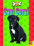 Cover: Cani Corsi - Av2