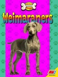 Cover: Weimaraners - Av2