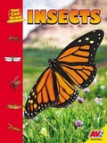Cover: Insects - Av2