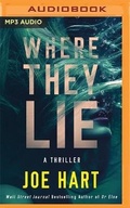 Cover: Where They Lie - Brilliance Audio