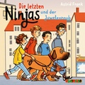 Cover: Die letzten Ninjas und der Juwelenraub - Audiolino