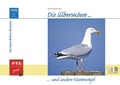 Cover: Die Silberm&ouml;we und andere K&uuml;stenv&ouml;gel - Militzke Verlag GmbH