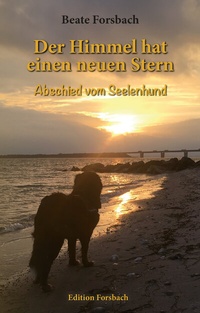 Abbildung von: Der Himmel hat einen neuen Stern - Edition Forsbach