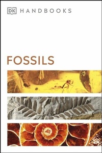 Abbildung von: Fossils - DK