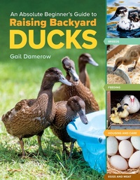 Enlarge image Cover: An Absolute Beginner's Guide to Raising Backyard Ducks - Storey Publishing, LLC