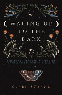 Enlarge image Cover: Waking Up to the Dark - Monkfish Book Publishing