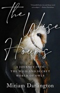 Cover: The Wise Hours - Zando