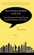 Cover: How It Feels to Be Black in the USA - Brill