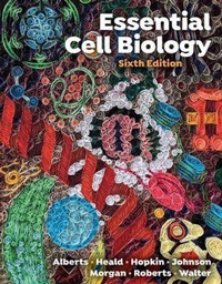 Bild vergrößern Bild: Essential Cell Biology - WW Norton & Co