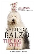 Cover: The Big Steep - Severn House