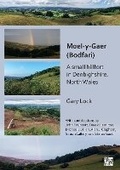 Cover: Moel-y-Gaer (Bodfari): A Small Hillfort in Denbighshire, North Wales - Archaeopress Archaeology