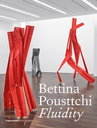 Enlarge image Cover: Fluidity - DISTANZ Verlag