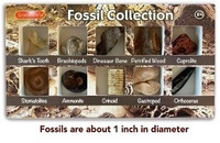 Enlarge image Cover: Fossil Collection - Sciencewiz