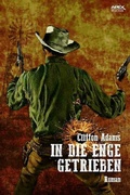 Cover: IN DIE ENGE GETRIEBEN - epubli
