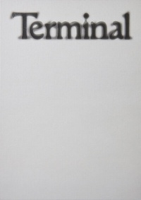 Enlarge image Cover: Jesse Stecklow. Terminal - König, Walther