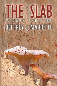 Enlarge image Cover: The Slab - WordFire Press
